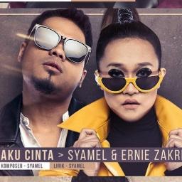 Aku Cinta By Syamel Ft Ernie Zakri Buku Lagu