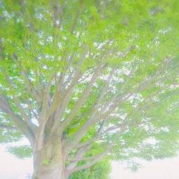 Bgm バレ農園 ３分 おしゃべりファーム Pshome Lyrics And Music By Bgm Arranged By Isao
