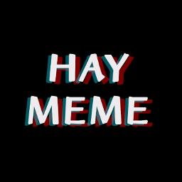 Hay Meme Lyrics And Music By Oringinal By Windleaf Arranged By Xxkylimxx