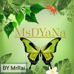 Bunga Bunga Cinta Lyrics And Music By Misha Omar Arranged By Msyana