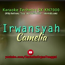 Perempuanku Lyrics And Music By Irwansyah Arranged By Brr R