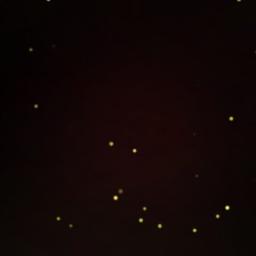 Manohara Na Hrudayamune Cheli Lyrics And Music By Madhavan Reema Sen Arranged By Syammotupalli manohara na hrudayamune cheli lyrics