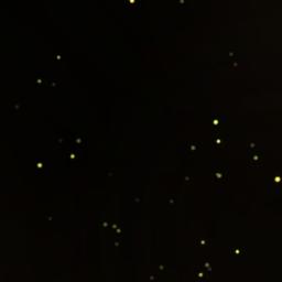 Anu Vidhaiththa Boomiyile Lyrics And Music By Kamalahassan Arranged By Cibeyshiya anu vidhaiththa boomiyile lyrics and