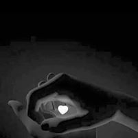 Gloria Shekina Lyrics And Music By Conquistando Fronteras Arranged By Salmistagiselle gloria shekina lyrics and music by