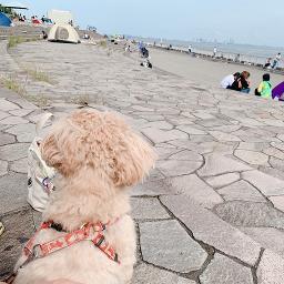 ライフ イズ ビューティフル ケツメイシ Lyrics And Music By Null Arranged By Piro