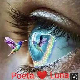 Fue Horrible Tecno Lyrics And Music By Drago Arranged By Kruz7 fue horrible tecno lyrics and music