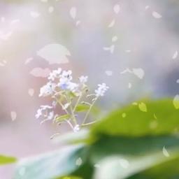 ああ電子戦隊デンジマン ｵﾘｼﾞﾅﾙｶﾗｵｹ 電子戦隊デンジマンop Lyrics And Music By 成田賢 Arranged By Anikizzz555