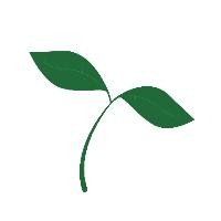 夜空はなんでも知ってるの Lyrics And Music By ラブライブサンシャイン Arranged By Coconut 3