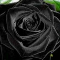 Dokkin 魔法使いプリキュア Lyrics And Music By 魔法使いプリキュアop Arranged By Maachachan