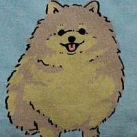 指輪 あたし 今日 結婚します Lyrics And Music By 沢井美空 Arranged By Yocchi