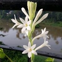 Mujhe Neend Na Aaye Unplugged Cover Lyrics And Music By Mujhe Neend Na Aaye Unplugged Cover Arranged By Parasjainindia mujhe neend na aaye unplugged cover