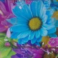 Jeeva Hoovagide Lyrics And Music By Dr Rajkumar S Janaki Arranged By S Hariprakash jeeva hoovagide lyrics and music by