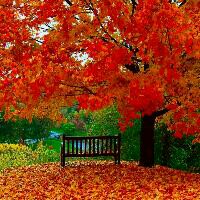 Ararat Mer Lerna Lyrics And Music By Vardanik Arranged By Smulean12328447 ararat mer lerna lyrics and music by