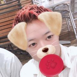 ガーベラ Lyrics And Music By ムック Mucc Arranged By 015aco 025