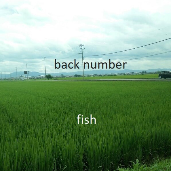 Fish Short Lyrics And Music By Back Number Arranged By Omega3