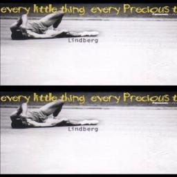 Every Little Thing Every Precious Thing Lyrics And Music By Lindberg Arranged By Choro1008