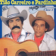 piscina tiao carreiro pardinho